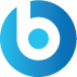 Bigfix Logo
