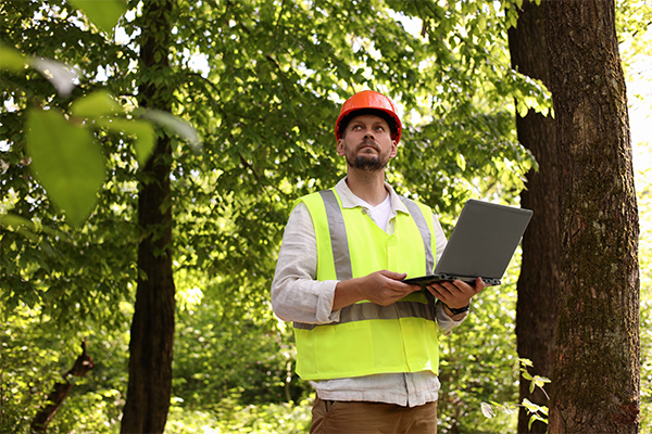 Finnish Forest Giant's Sustainable Cloud Journey with HCL MyXalytics