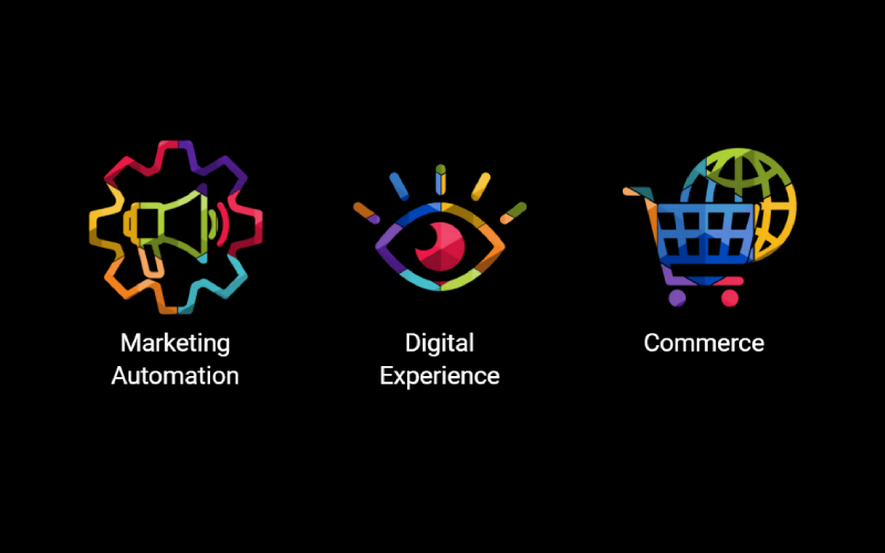 digital asset management system for businesses, organizations and enterprises of all sectors. Control and optimize all your sites and applications.